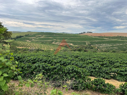 Fazenda em Capitólio-MG