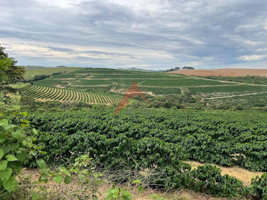 Fazenda em Capitólio-MG