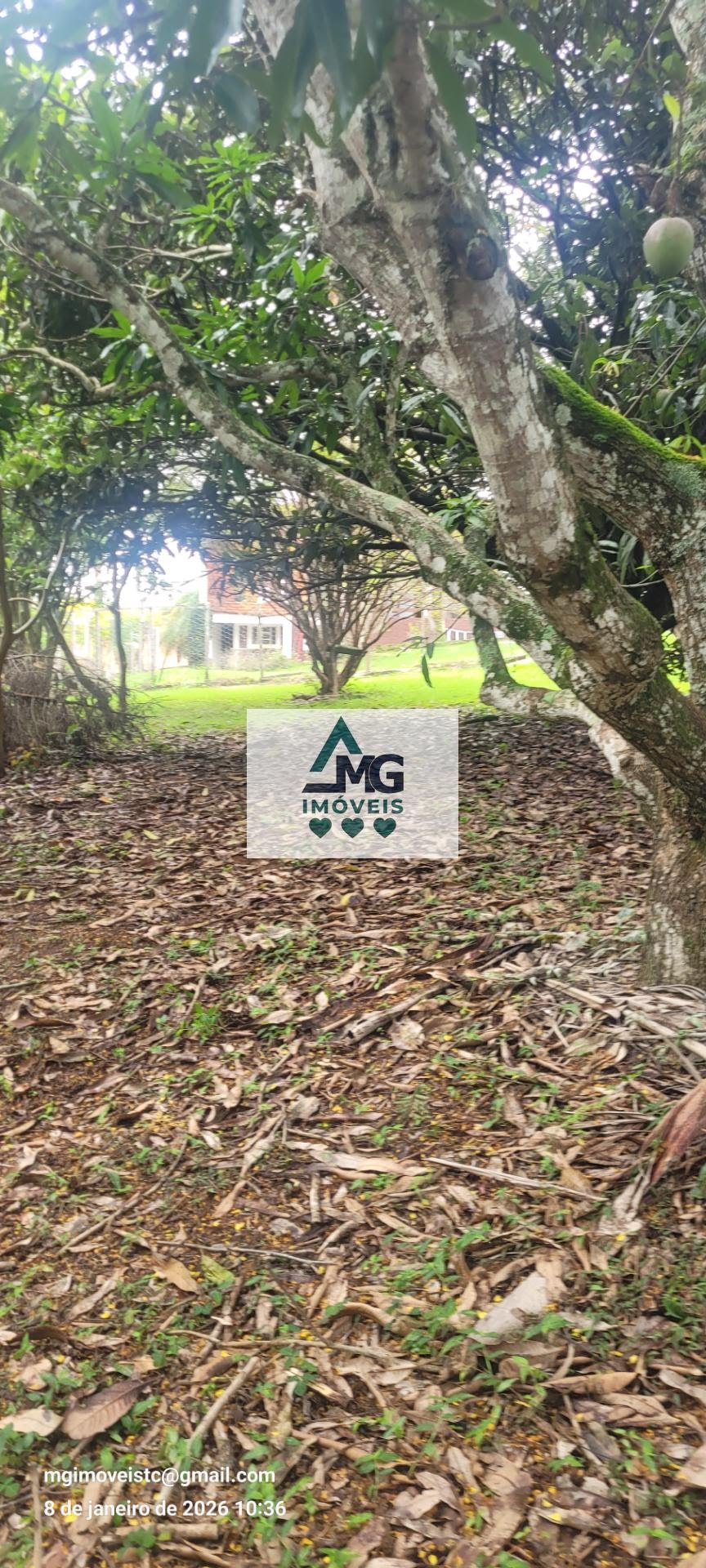 Casa à venda com 3 quartos, 1 suíte e 164m² no Marimbeiro, Cambuquira (MG) — foto 8 de 30