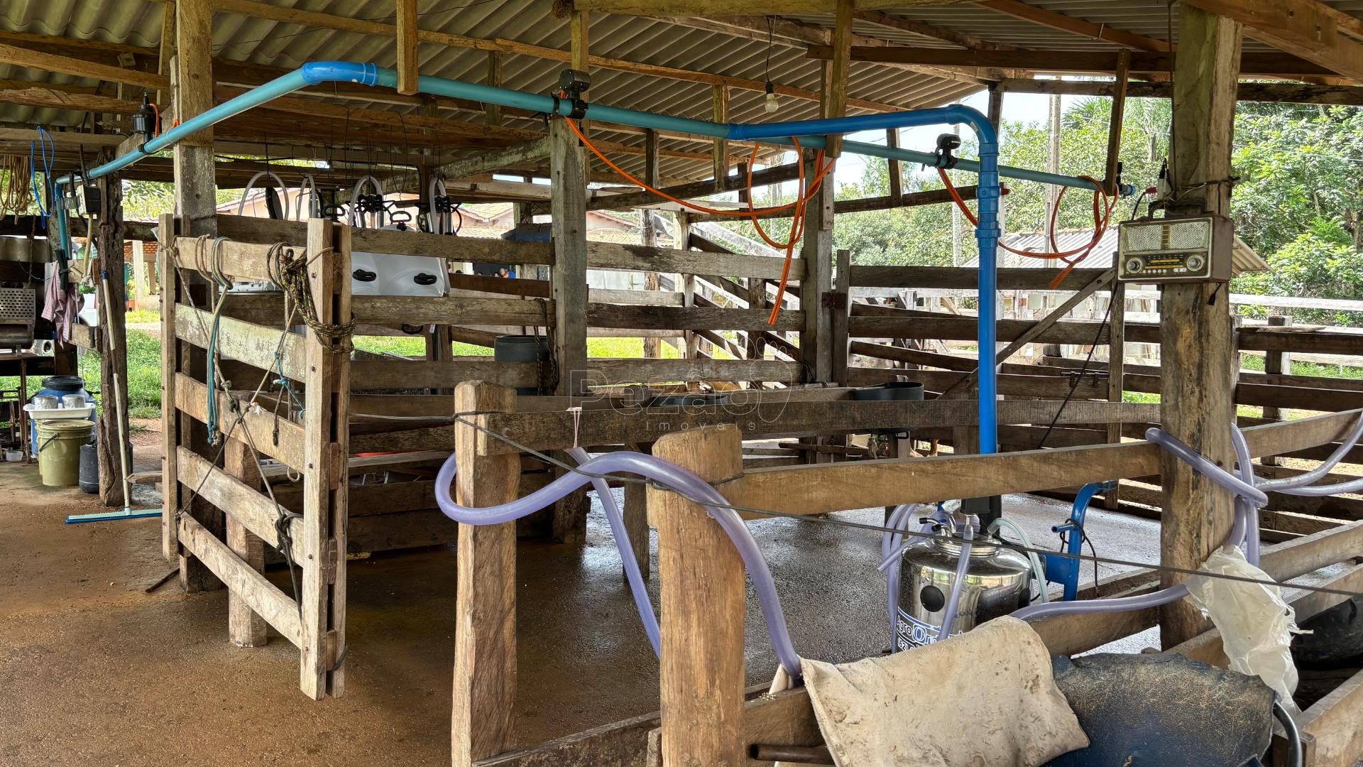Rural à venda com 50000m² de terreno no Zona Rural, Itapuranga (GO) — foto 19 de 30