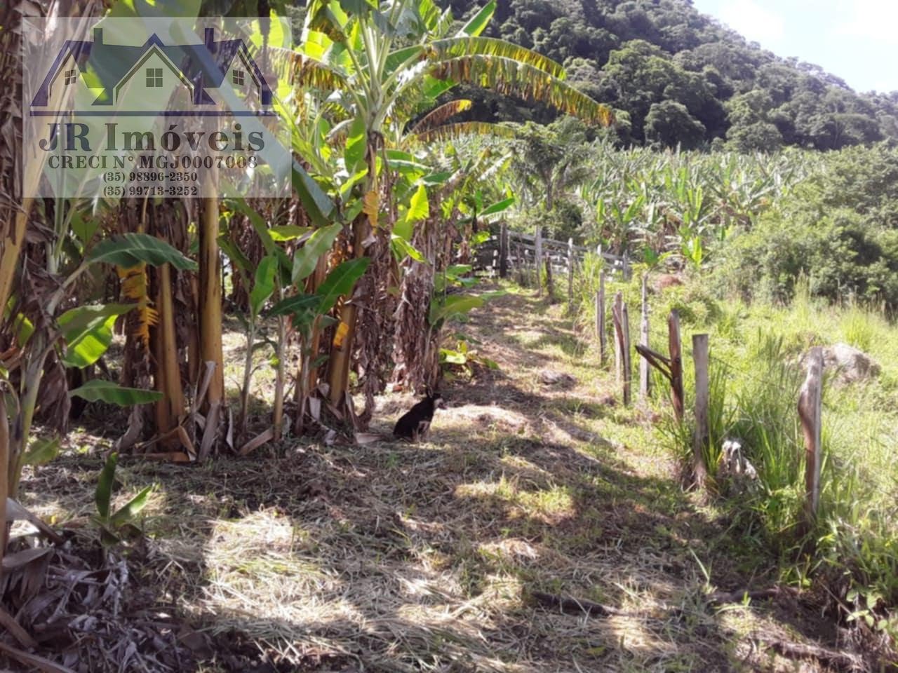 Rural à venda com 30000m² de terreno no Resende, Pedralva (MG) — foto 15 de 21
