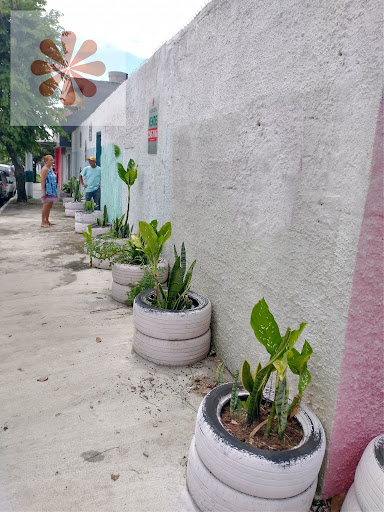 Lote / Terreno em Limoeiro  -  São Paulo