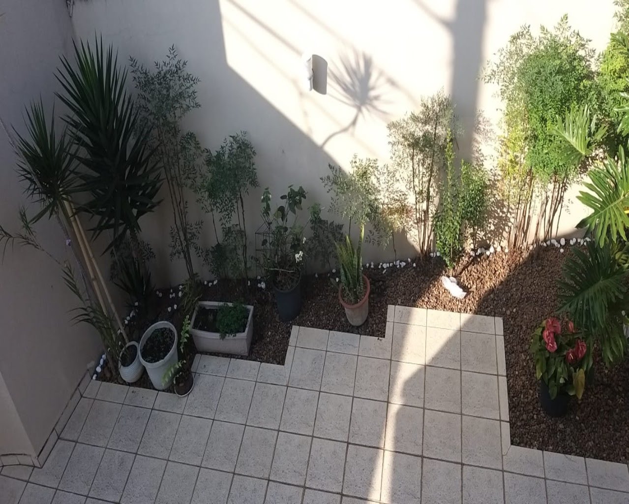Foto 05