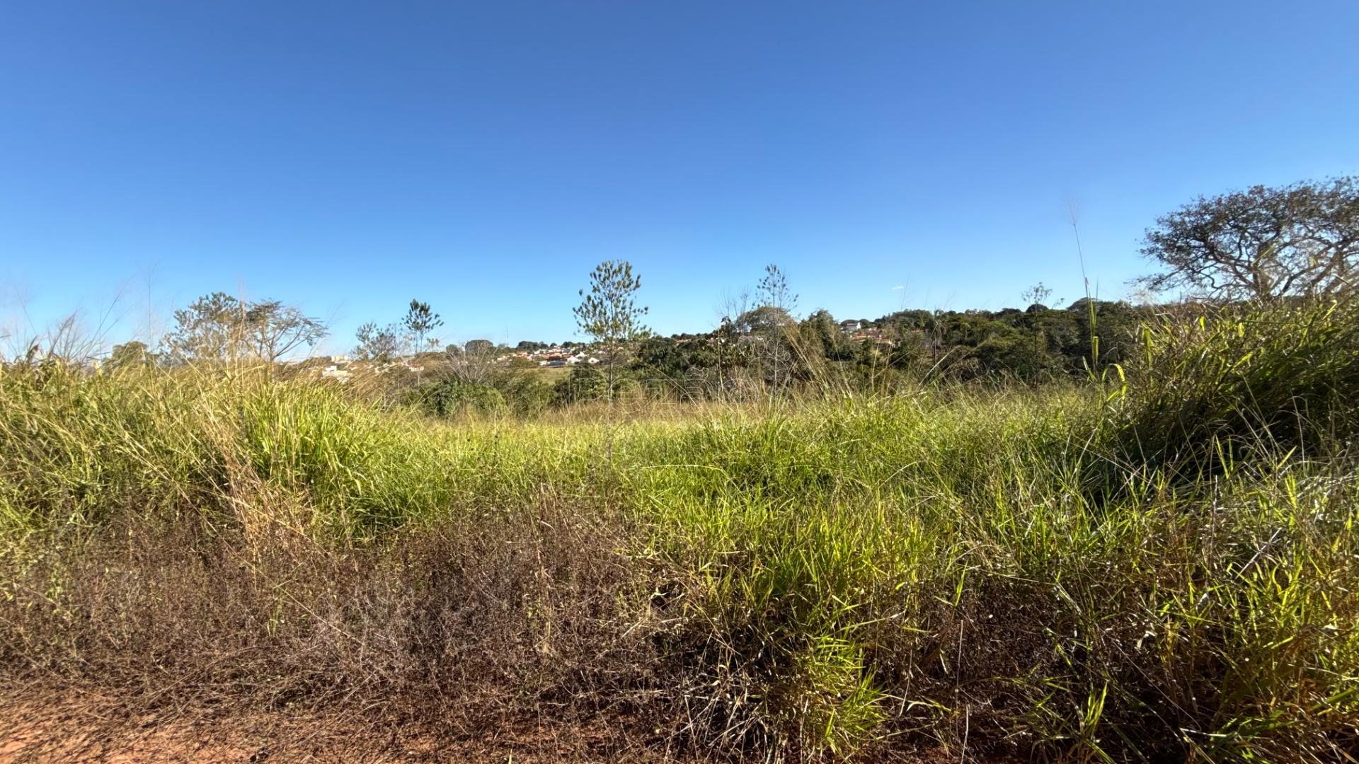 Terreno, 250 m² - Foto 1