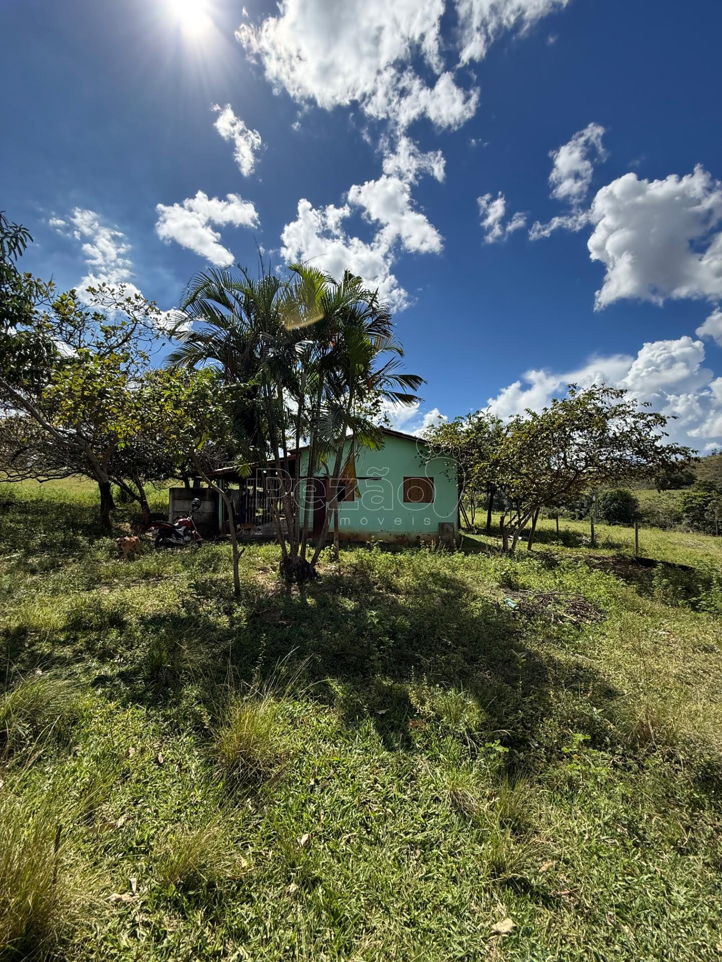 Rural à venda no Fazenda, Itapuranga (GO) — foto 11 de 11