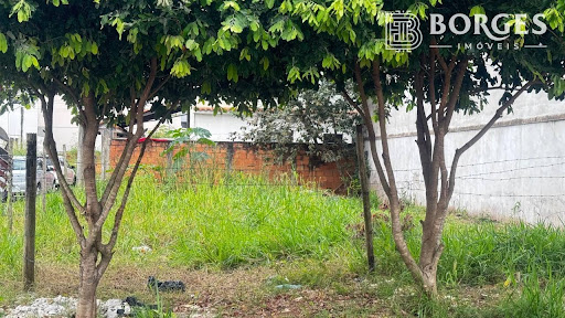 Lote / Terreno em Governador Roberto Silveira  -  Itaperuna
