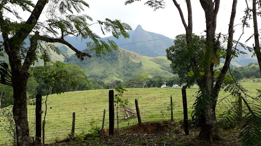 Sítio em Bicuda Pequena  -  Macaé