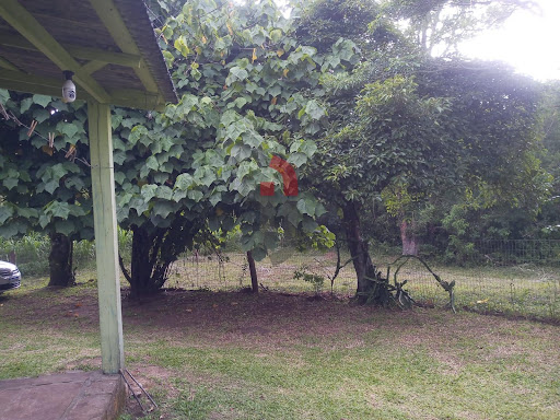 Terreno na Estrada Figueira Grande  -  Osório