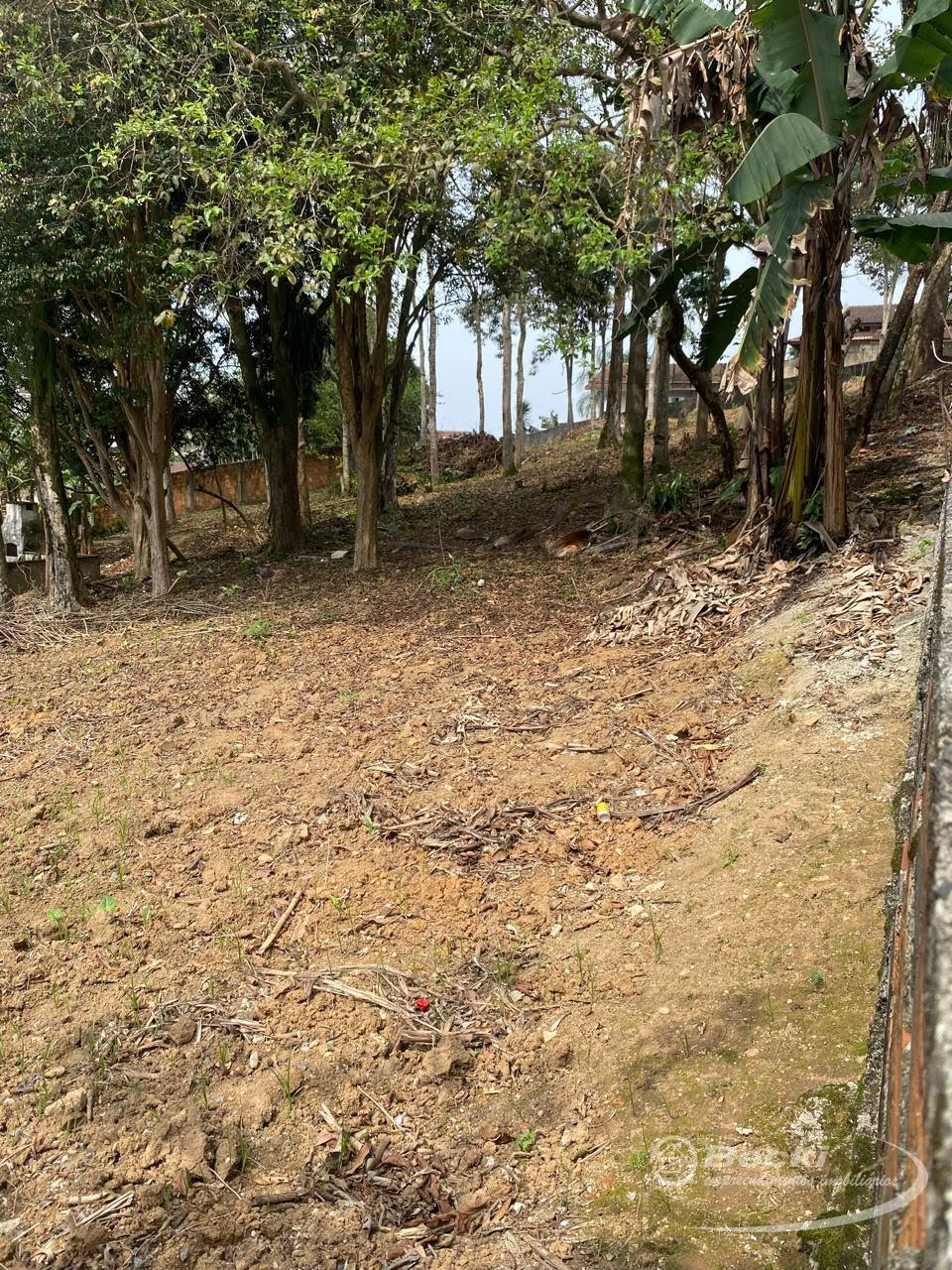 Terreno à venda no Jarivatuba, Joinville (SC) — foto 5 de 14
