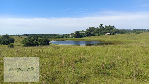Fazenda a Venda RS