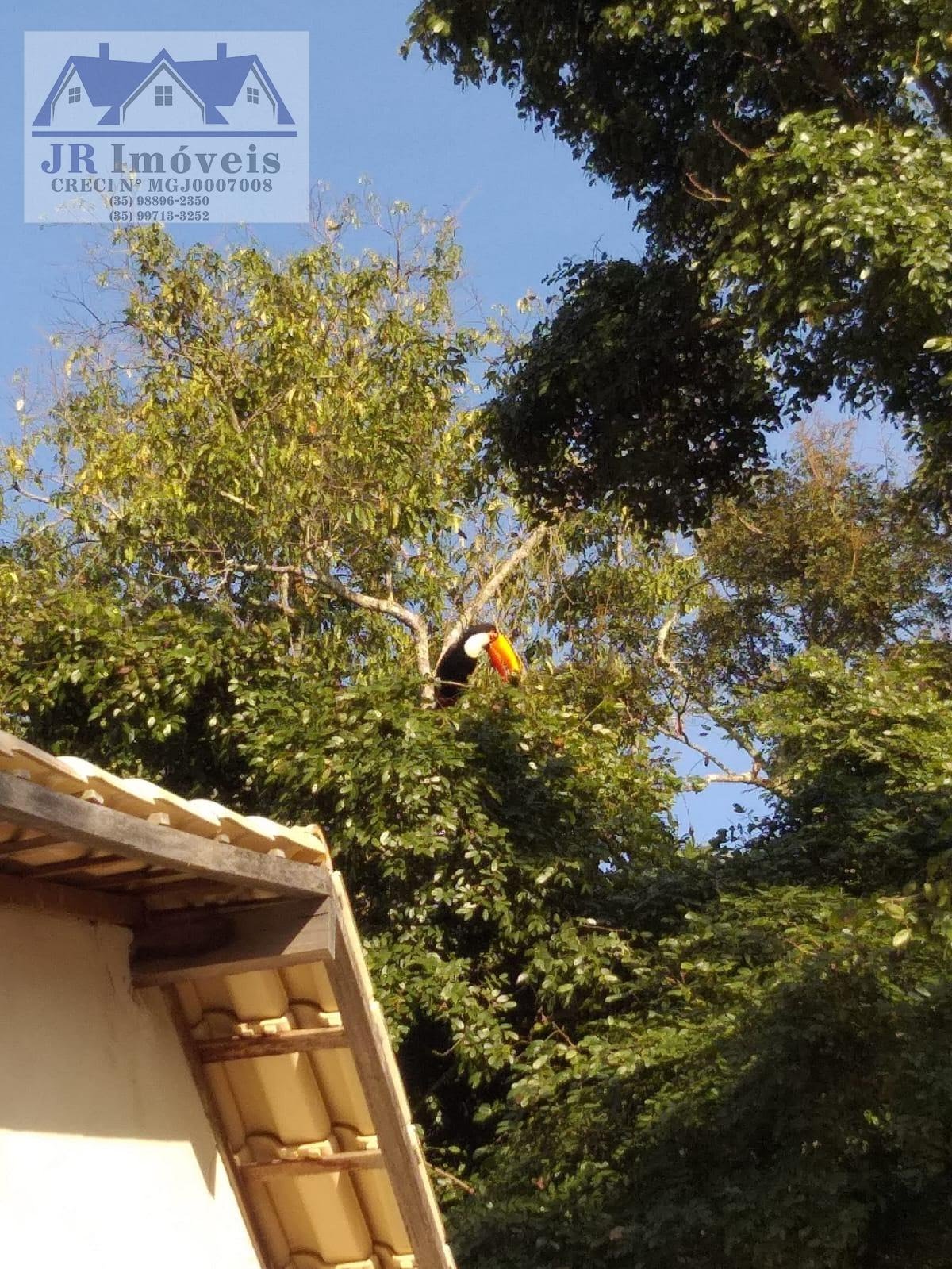Casa à venda no Brazópolis, Brazópolis (MG) — foto 10 de 16