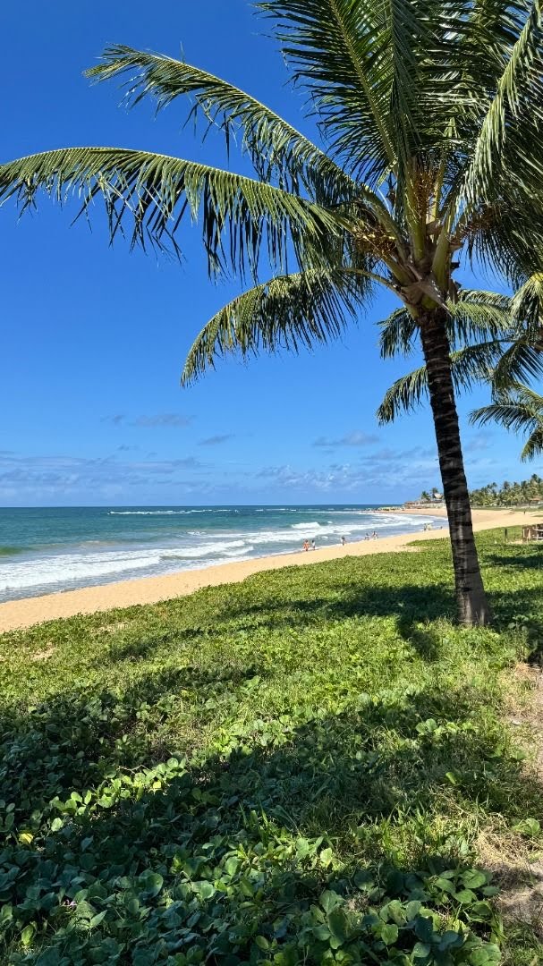Apartamento à venda com 3 quartos, 1 suíte, 1 vaga e 89m² no Praia Muro Alto, Ipojuca (PE) — foto 14 de 30