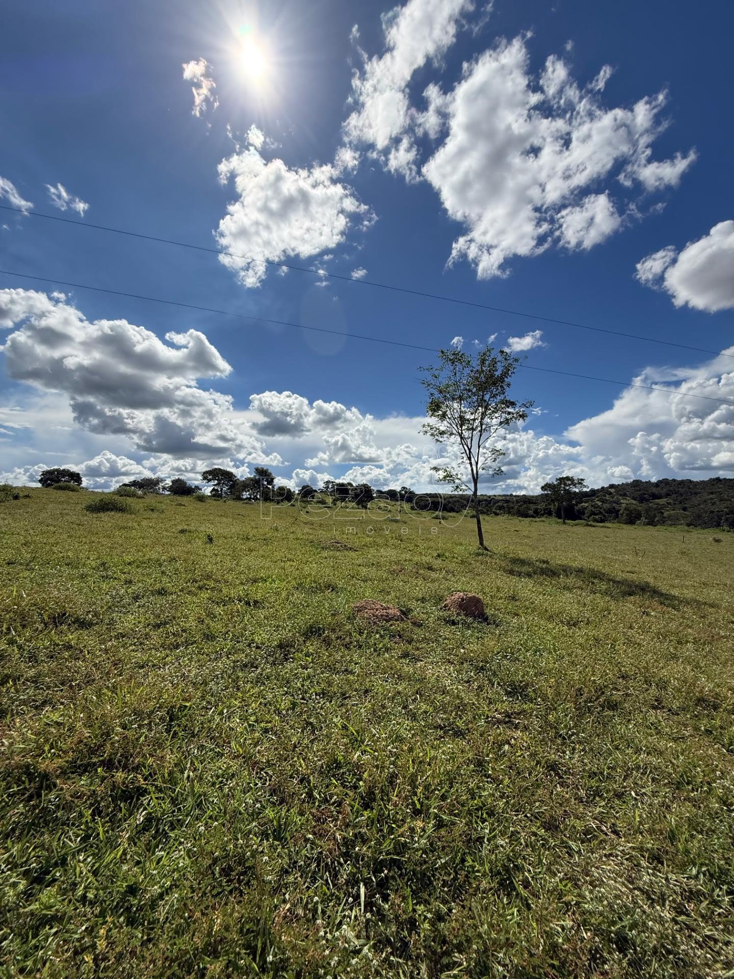 Rural à venda no Fazenda, Itapuranga (GO) — foto 9 de 11