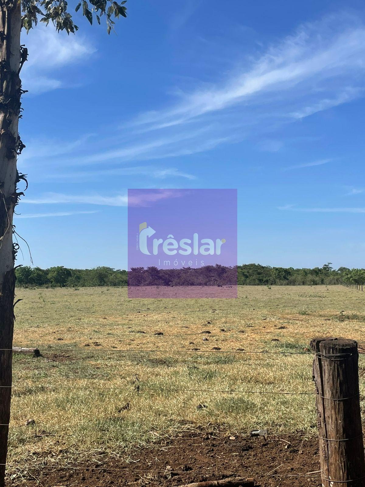 Rural à venda com 80m² de terreno no Chácara, Três Lagoas (MS) — foto 7 de 12