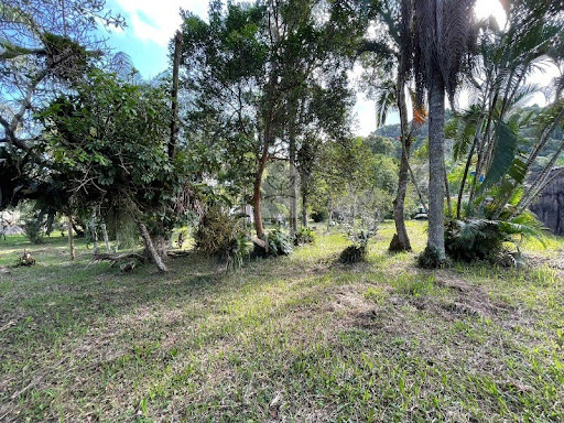 Foto 07