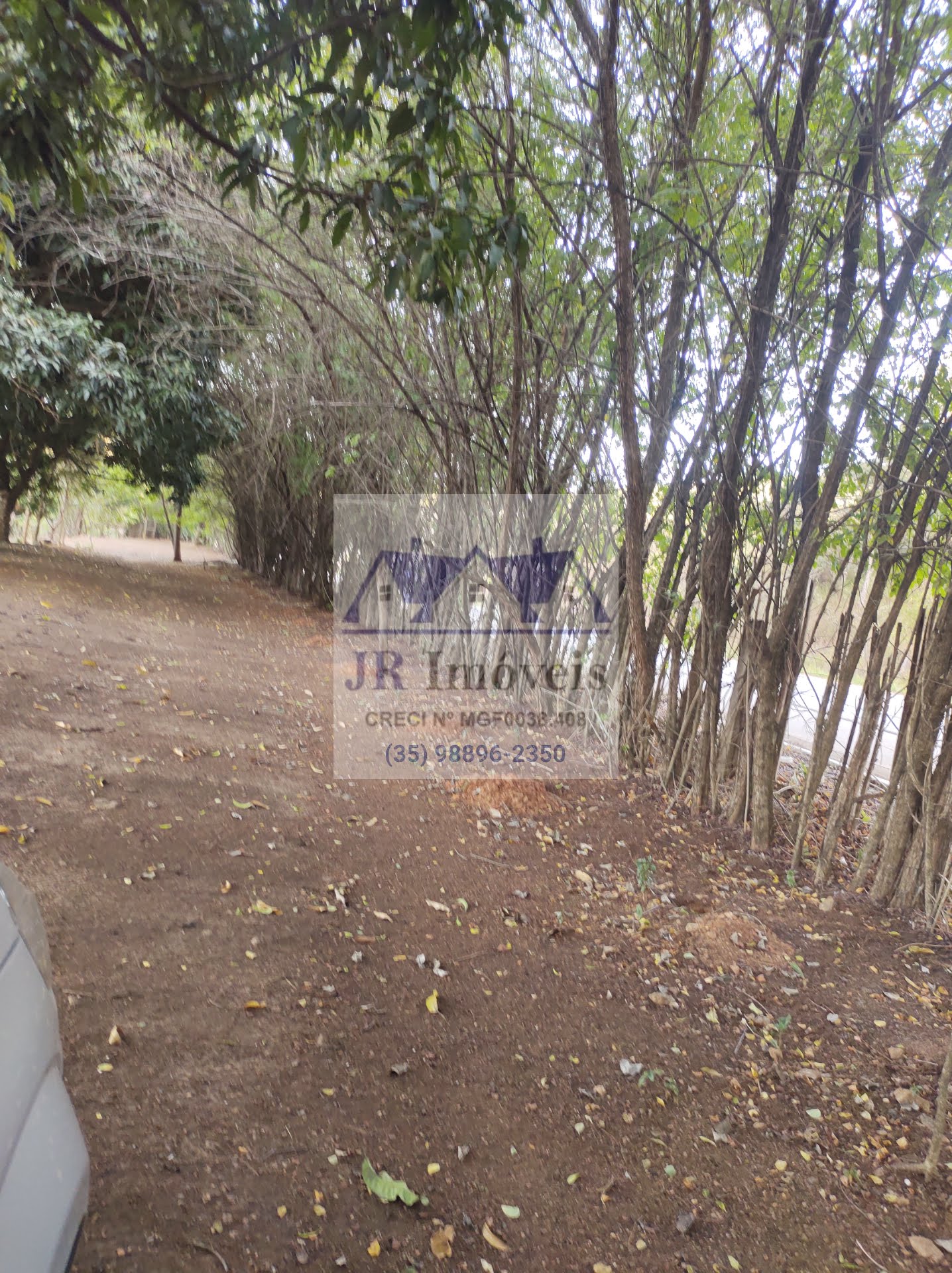 Rural para alugar com 18000m² de terreno no Mato Dentro de Baixo, Piranguinho (MG) — foto 23 de 30