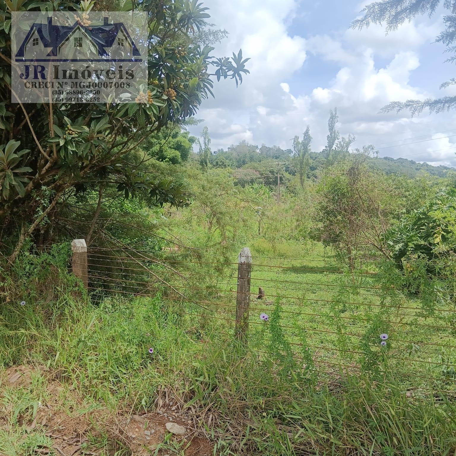 Terreno à venda com 3000m² de terreno no Carneiros, Piranguinho (MG) — foto 3 de 21