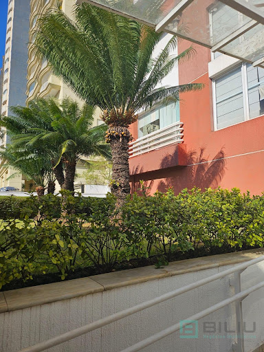Cobertura em Vila Gomes Cardim  -  São Paulo