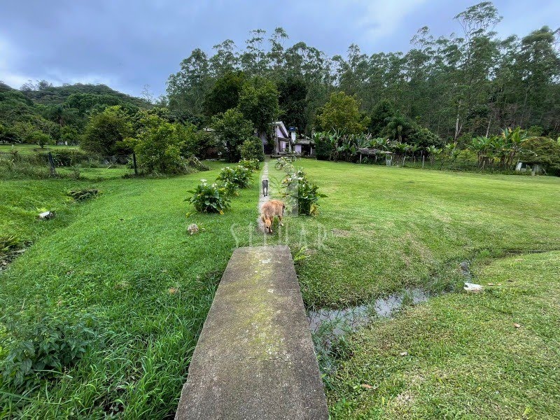 Foto 01