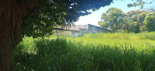 vendo ou alugo terreno super bem localizado no centro de Campos em frente à Faculdade de Direito de Campos cód 16249