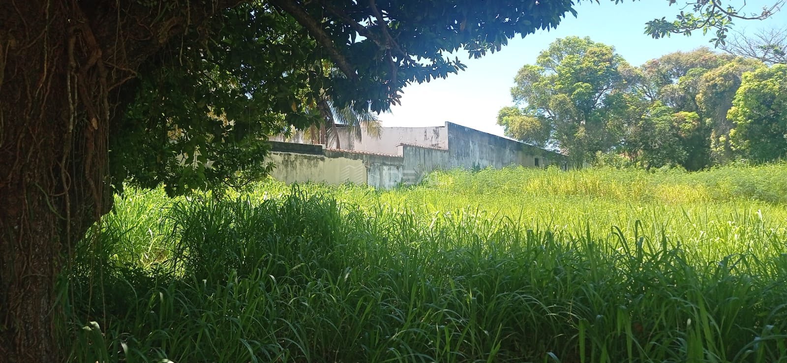 vendo ou alugo terreno super bem localizado no centro de Campos em frente à Faculdade de Direito de Campos cód 16249