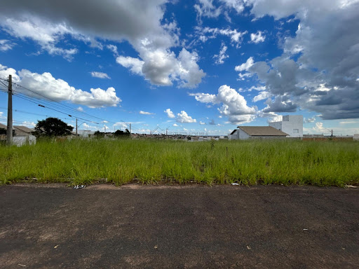 Lote / Terreno em Loteamento  Jardim Laranjeiras  -  Catalão