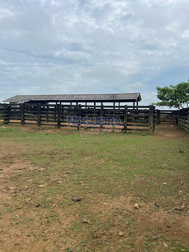 Fazenda em Zona Rural  -  Machadinho d'Oeste