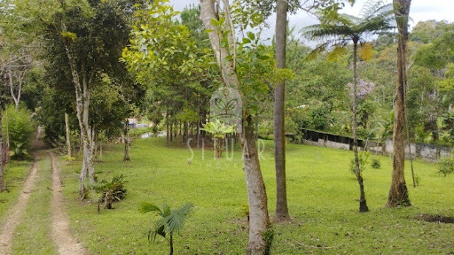 Foto 06