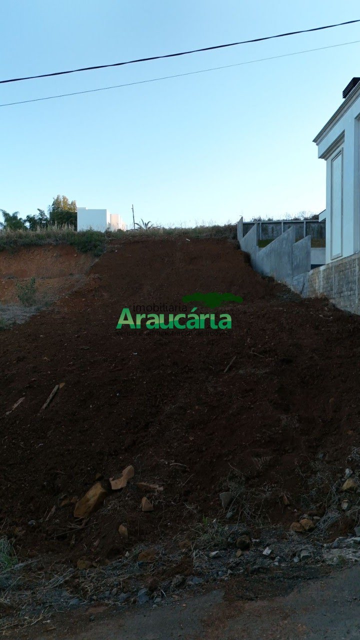 Foto 01