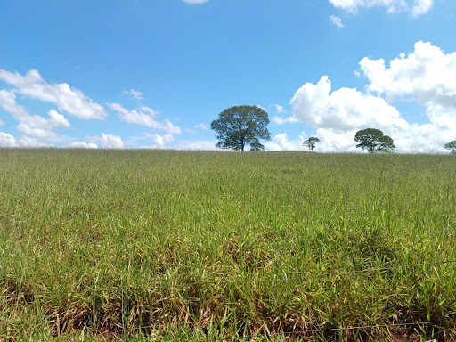 Fazenda à venda, município de Uberlândia MG