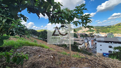 Lote / Terreno em Esplanada  -  Ponte Nova