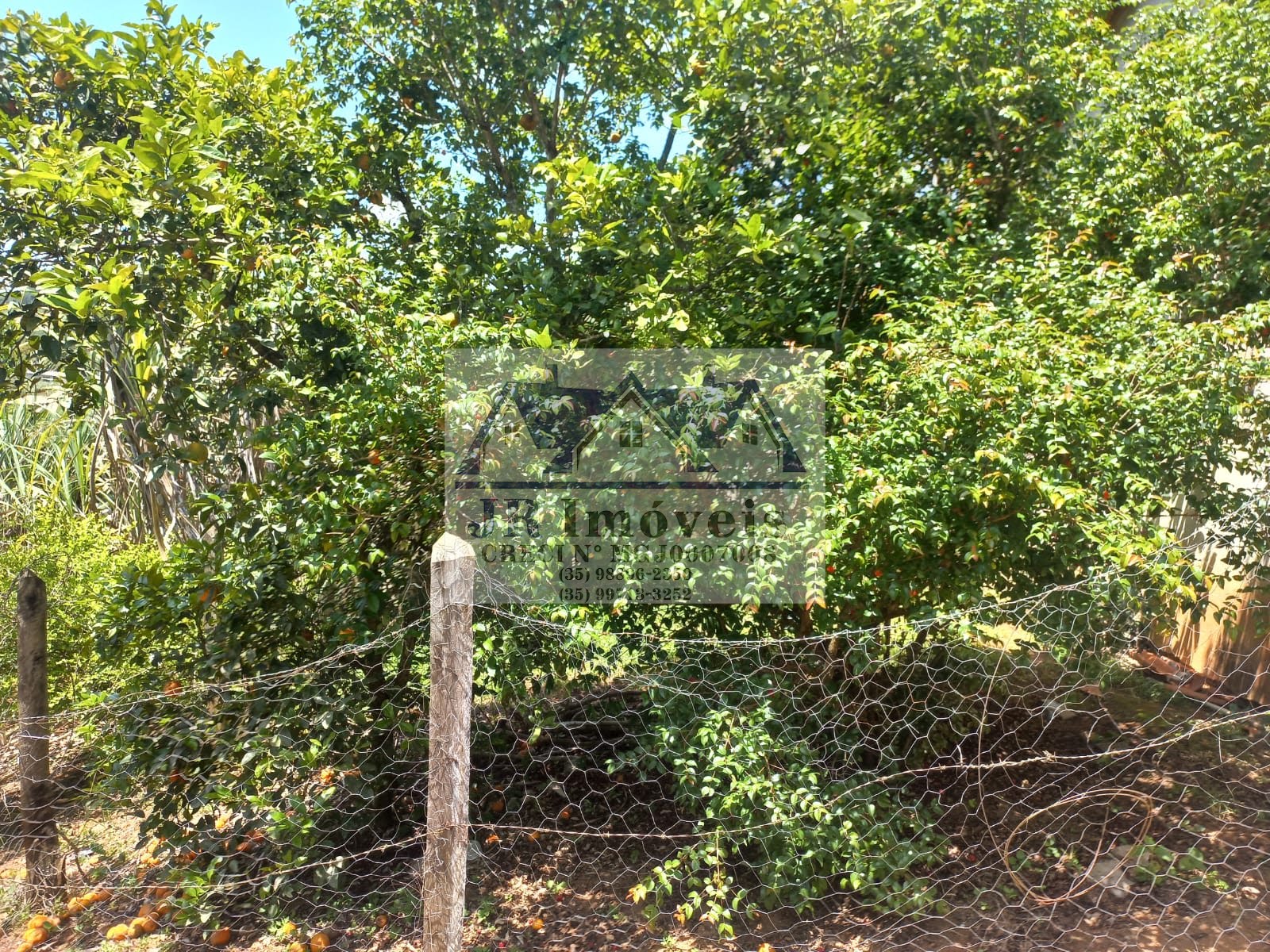 Rural à venda com 1500m² de terreno no Pinhal Redondo, Piranguinho (MG) — foto 16 de 30