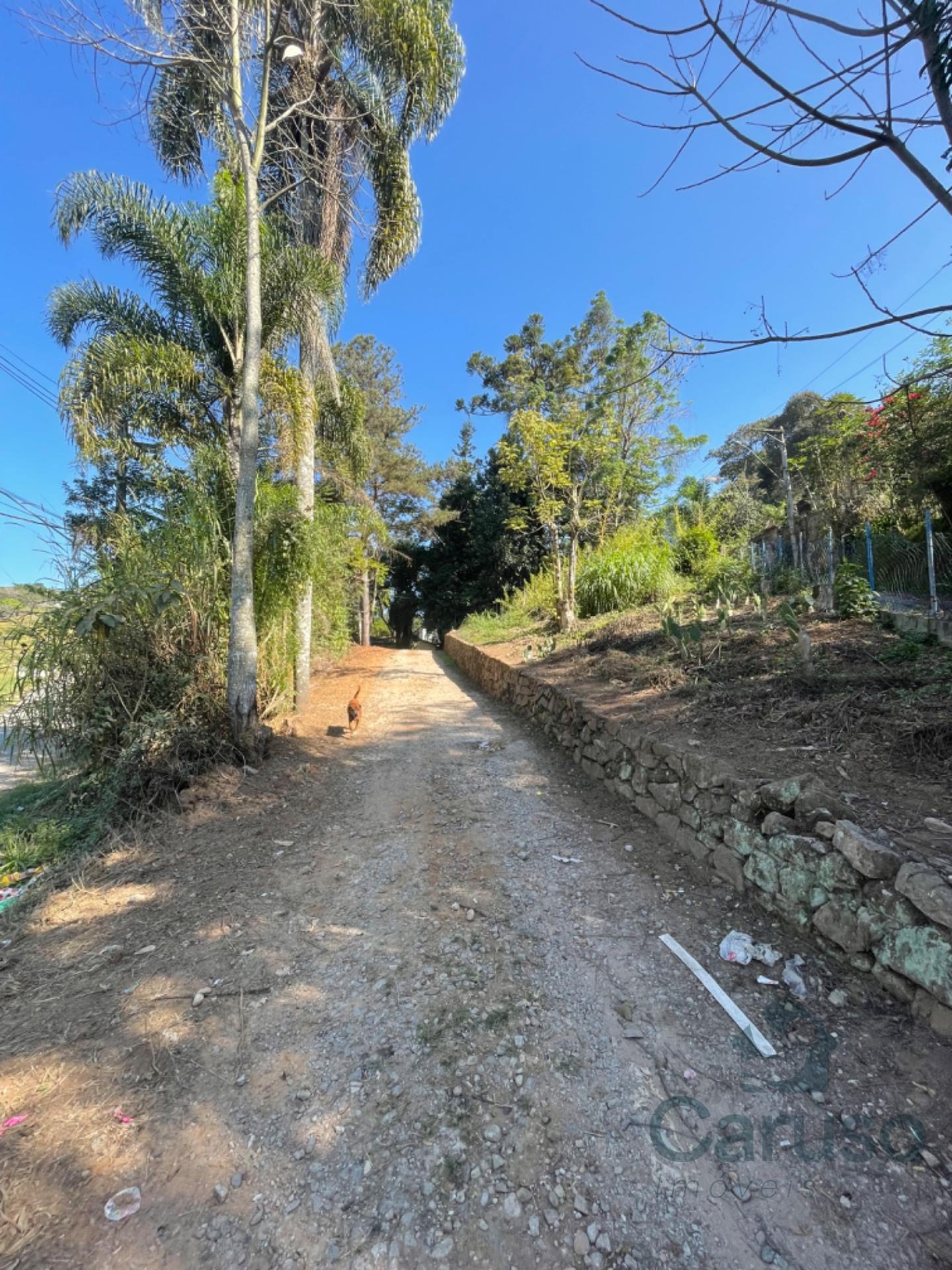 Comercial à venda com 7170m² no Parque Lucelia, Arujá (SP) — foto 2 de 11