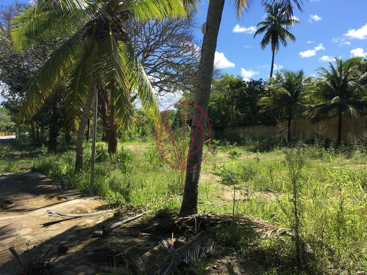 Comercial à venda com 4350m² no Boa União (abrantes), Camaçari (BA) — foto 12 de 26