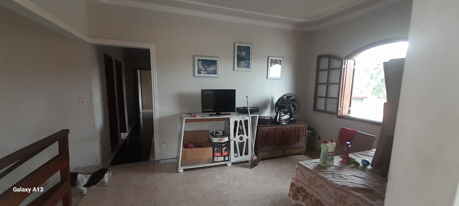 Casa à venda com 5 quartos, 1 suíte, 3 vagas e 220m² no Rio Branco, Belo Horizonte (MG) — foto 18 de 29