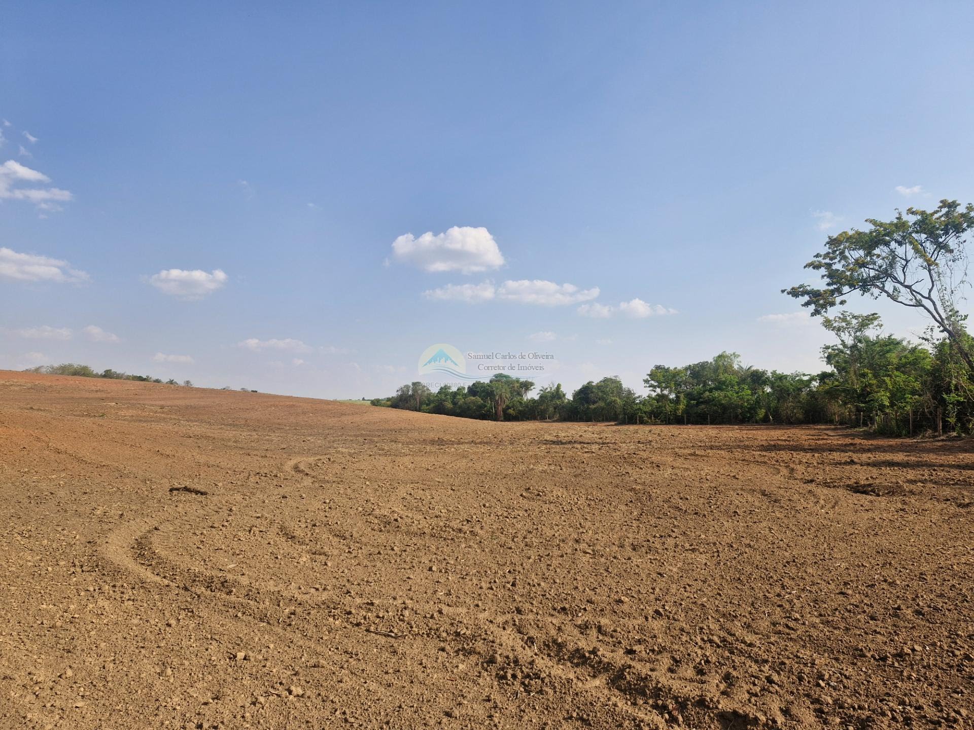 Fazenda a venda em Casa Branca SP