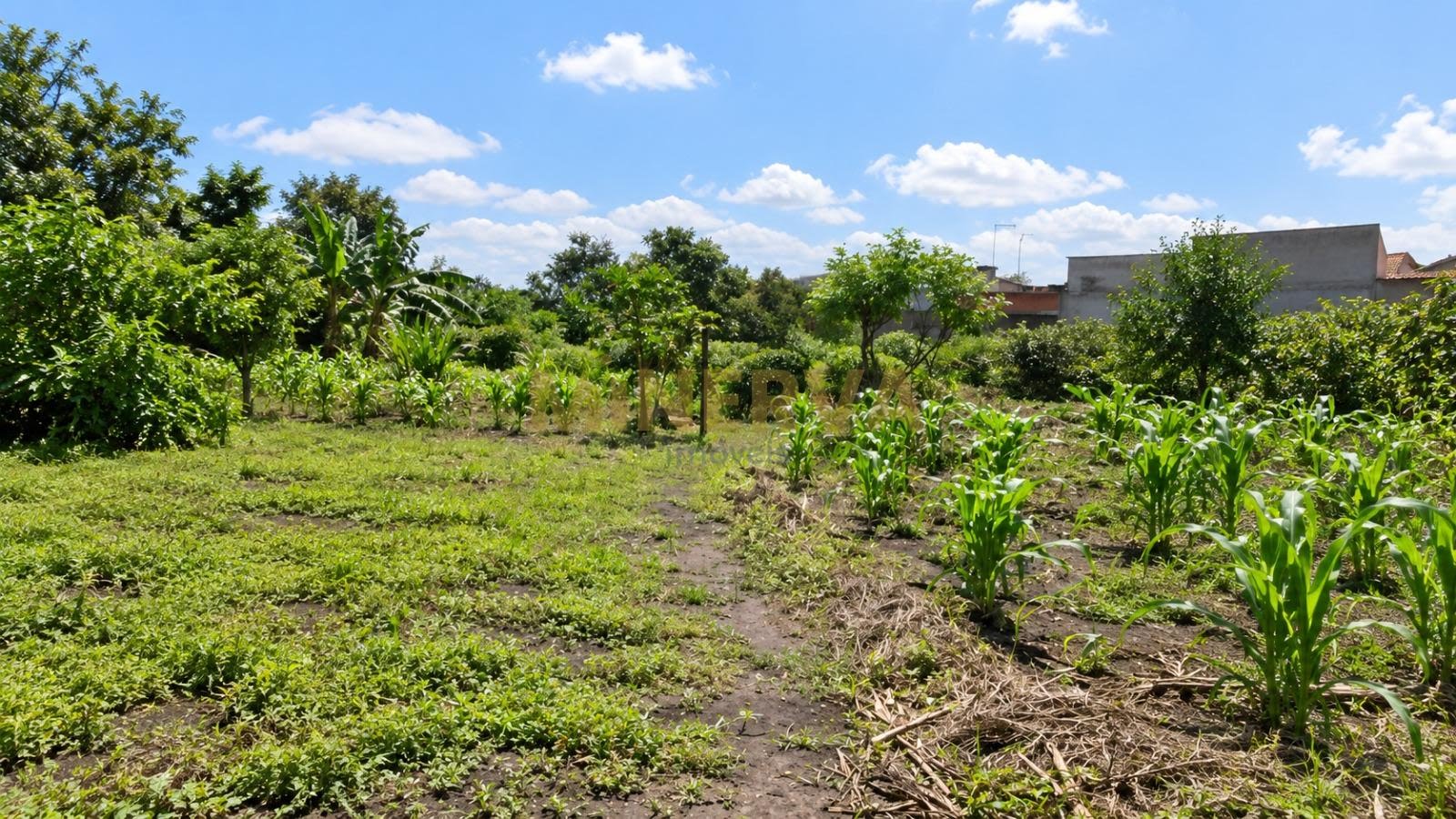 Terreno à venda com 6000m² de terreno no Jardim Presidente Dutra, Guarulhos (SP) — foto 2 de 7
