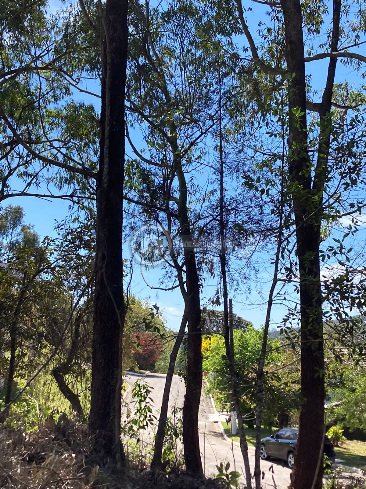 Terreno à venda com 1575m² de terreno no Serra da Cantareira, Mairiporã (SP) — foto 11 de 20