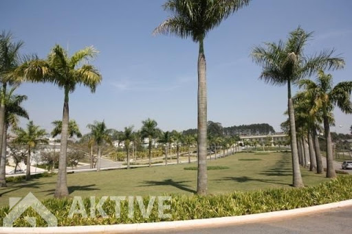 Foto 07