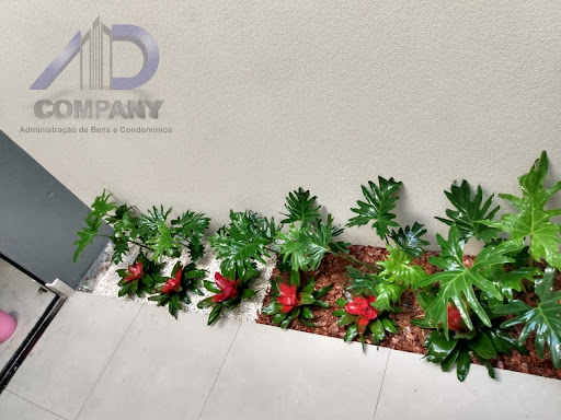 Jardim 