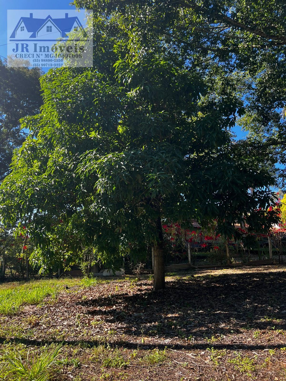 Rural à venda com 3046m² de terreno no Laje, Piranguinho (MG) — foto 9 de 30