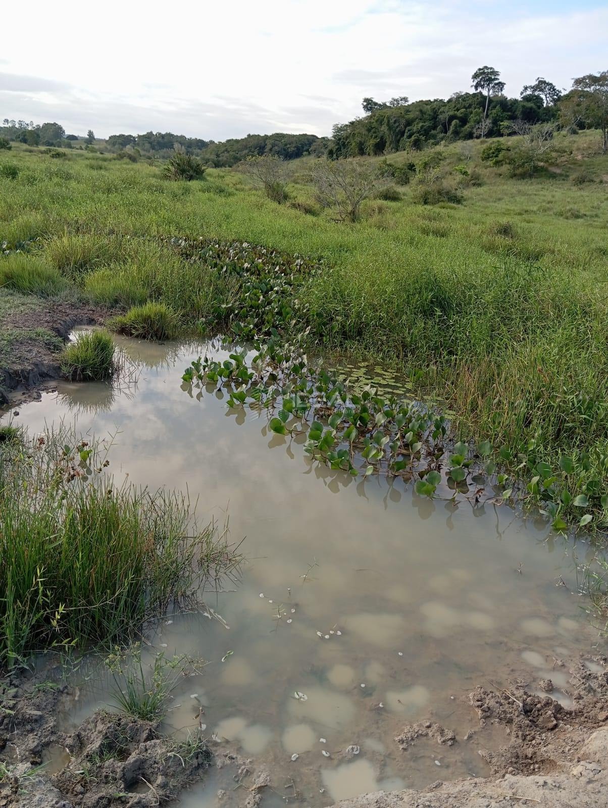 Rural à venda com 1280000m² de terreno no Valão Seco, São Francisco de Itabapoana (RJ) — foto 8 de 30