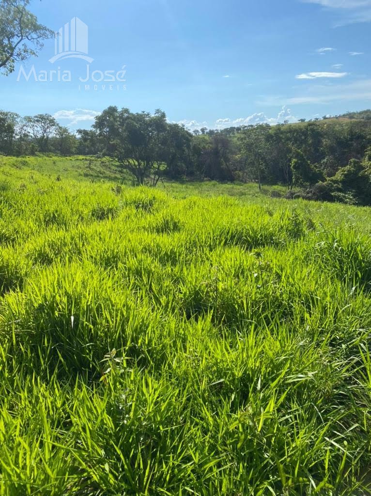 Rural à venda com 8930000m² de terreno no Zona Rural de Três Marias, Três Marias (MG) — foto 8 de 30