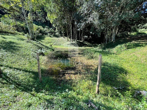 Foto 03