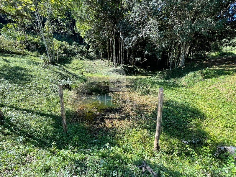 Foto 03
