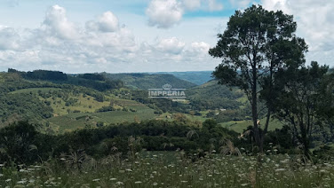 Área Rural na Linha Jacinto  -  Farroupilha-RS