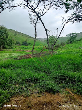 Fazenda em Rural  -  Cardoso Moreira
