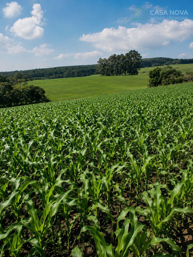Sítio à Venda em Alto da Serra, São Pedro por R$ 840 mil