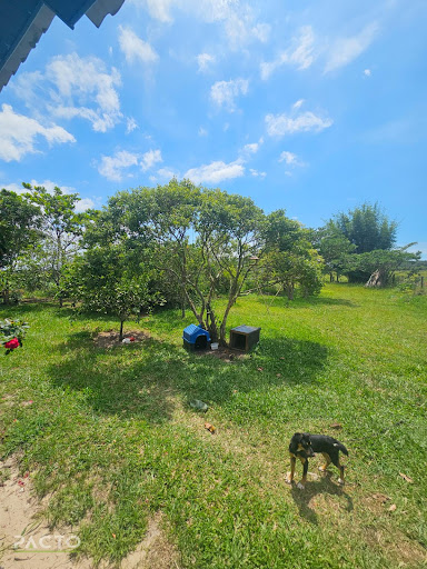 Imóvel Rural em Hercílio Luz   -  Araranguá