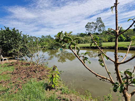 Sítio a venda em Itobi SP